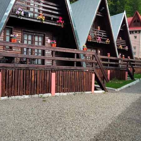 Cabane Sinaia Exteriér fotografie